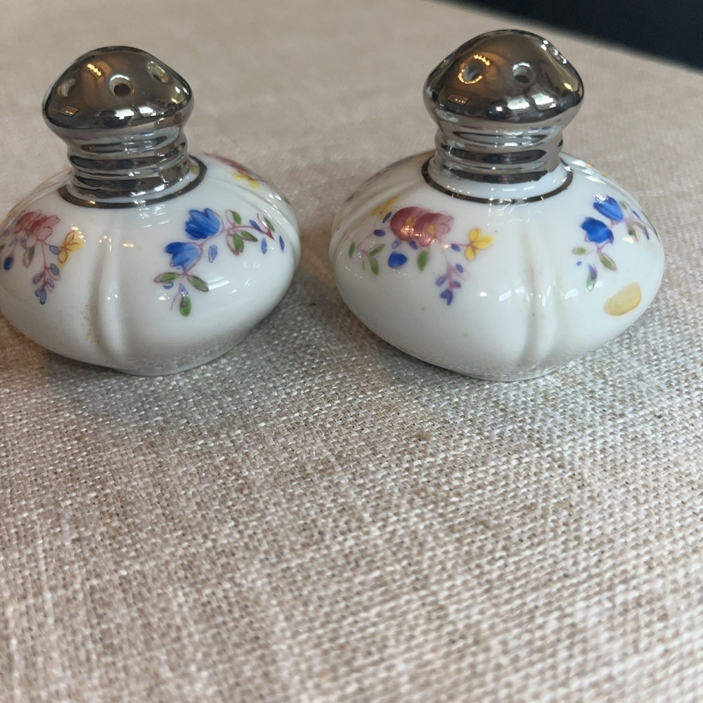 VTG Japan Floral Porcelain Salt Pepper Shakers Melon Shape Hand Painted